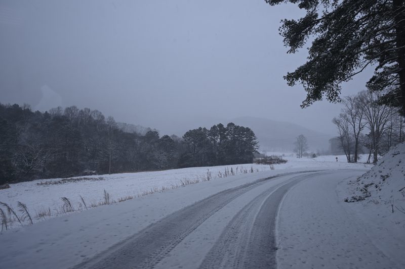 DSC_0222.JPG